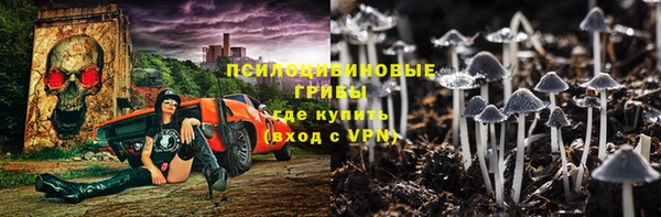 крисы Балахна
